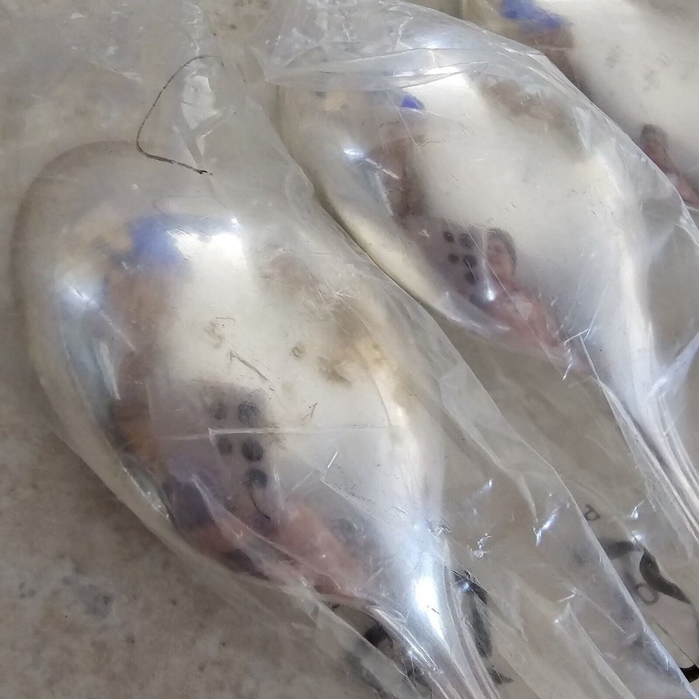 5) Rogers American Chippendale Soup Spoons 7" silverplate International Silver - Picture 7 of 8